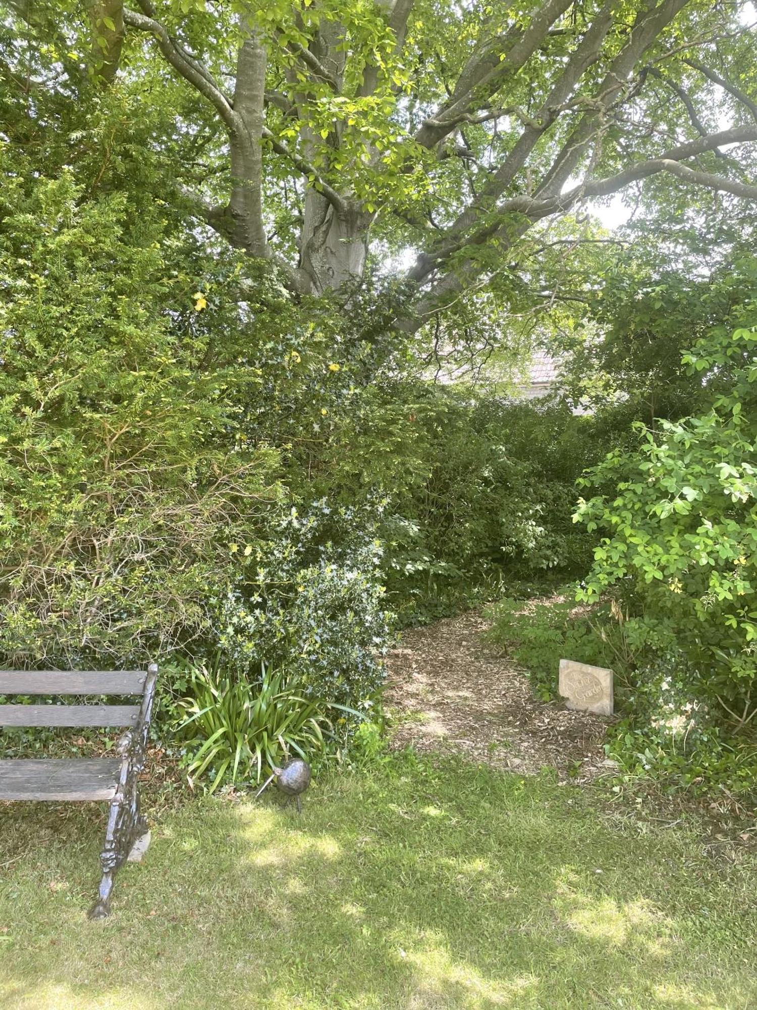 The Mount Somerton Retreat - Nr Bruton, Glastonbury, The Spectacular Wells Cathedral, Millfield School, Leonardo Helicopters, Yeovilton Exteriér fotografie